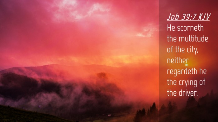 Picture 04 - Job 39:7 KJV Desktop Wallpaper - He scorneth the multitude of the city, neither - Desktop Bible Verse Wallpaper