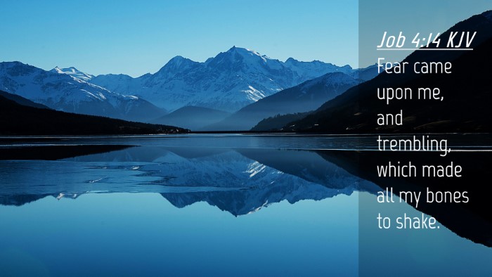 Picture 04 - Job 4:14 KJV Desktop Wallpaper - Fear came upon me, and trembling, which made all - Desktop Bible Verse Wallpaper