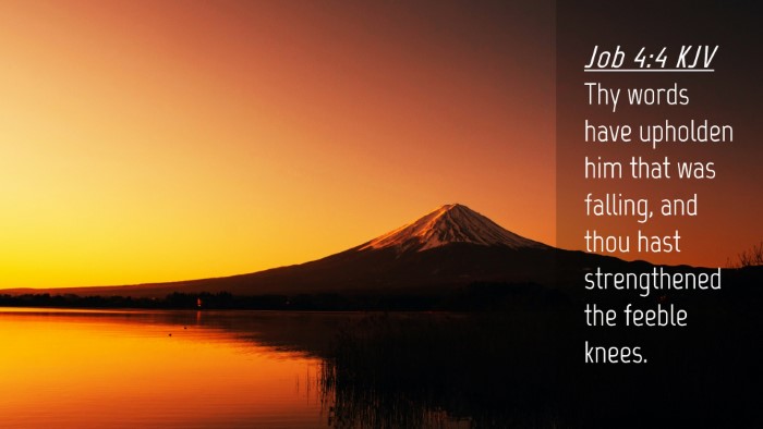 Picture 04 - Job 4:4 KJV Desktop Wallpaper - Thy words have upholden him that was falling, and - Desktop Bible Verse Wallpaper