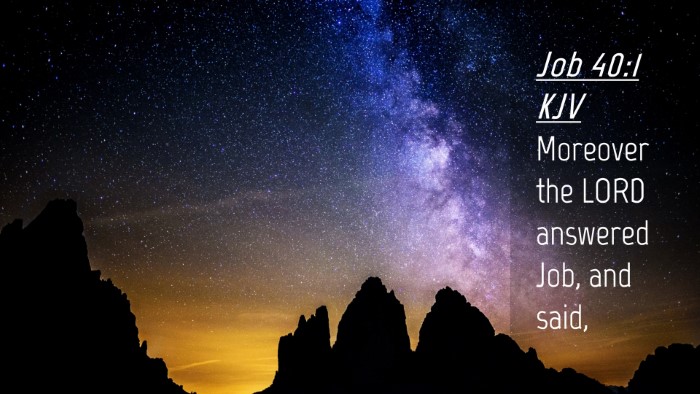 Picture 04 - Job 40:1 KJV Desktop Wallpaper - Moreover the LORD answered Job, and - Desktop Bible Verse Wallpaper