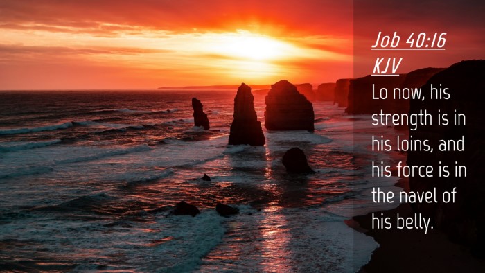 Picture 04 - Job 40:16 KJV Desktop Wallpaper - Lo now, his strength is in his loins, and his - Desktop Bible Verse Wallpaper
