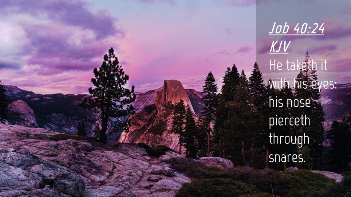 Picture 04 - Job 40:24 KJV Desktop Wallpaper - He taketh it with his eyes: his nose pierceth - Desktop Bible Verse Wallpaper