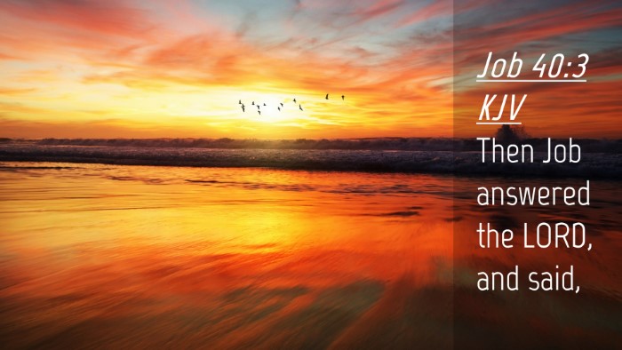 Picture 04 - Job 40:3 KJV Desktop Wallpaper - Then Job answered the LORD, and - Desktop Bible Verse Wallpaper