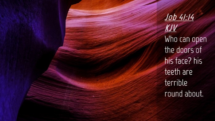 Picture 04 - Job 41:14 KJV Desktop Wallpaper - Who can open the doors of his face? his teeth are - Desktop Bible Verse Wallpaper