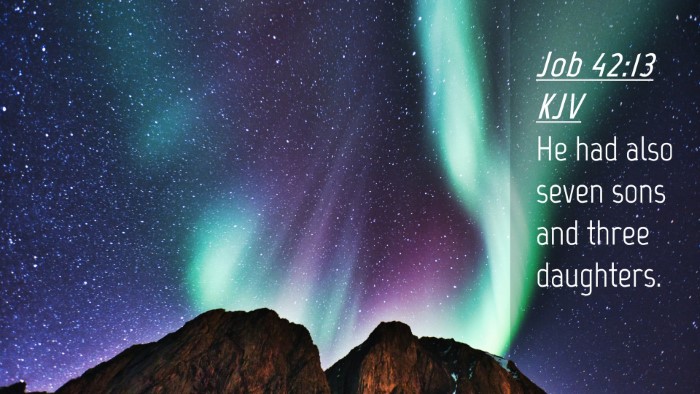 Picture 04 - Job 42:13 KJV Desktop Wallpaper - He had also seven sons and three - Desktop Bible Verse Wallpaper