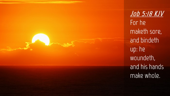 Picture 04 - Job 5:18 KJV Desktop Wallpaper - For he maketh sore, and bindeth up: he woundeth, - Desktop Bible Verse Wallpaper
