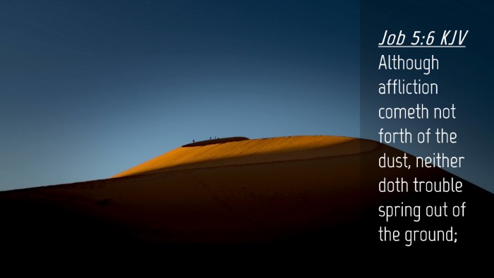Picture 04 - Job 5:6 KJV Desktop Wallpaper - Although affliction cometh not forth of the dust, - Desktop Bible Verse Wallpaper
