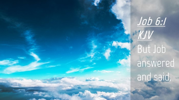 Picture 04 - Job 6:1 KJV Desktop Wallpaper - But Job answered and - Desktop Bible Verse Wallpaper
