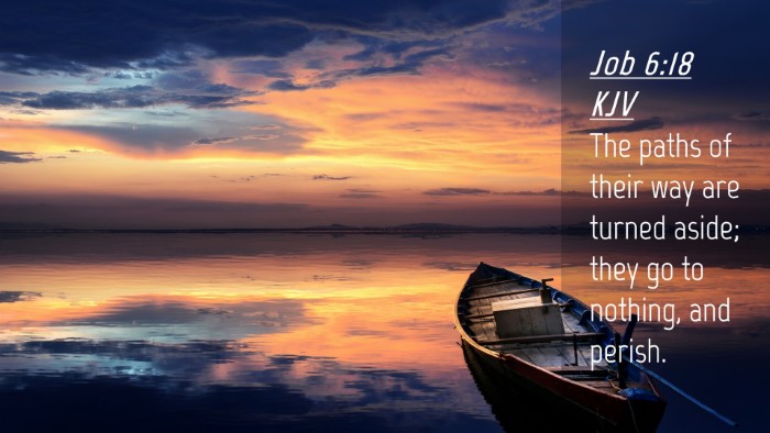 Picture 04 - Job 6:18 KJV Desktop Wallpaper - The paths of their way are turned aside; they go - Desktop Bible Verse Wallpaper