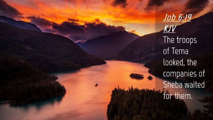 Picture 04 - Job 6:19 KJV Desktop Wallpaper - The troops of Tema looked, the companies of Sheba - Desktop Bible Verse Wallpaper
