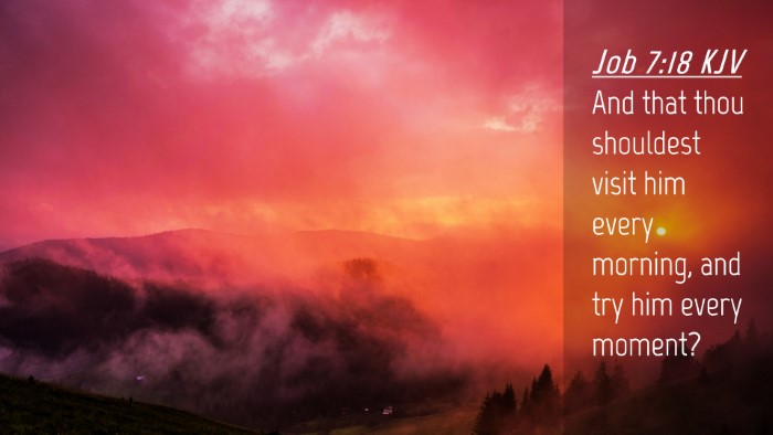 Picture 04 - Job 7:18 KJV Desktop Wallpaper - And that thou shouldest visit him every morning, - Desktop Bible Verse Wallpaper