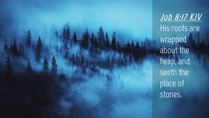 Picture 04 - Job 8:17 KJV Desktop Wallpaper - His roots are wrapped about the heap, and seeth - Desktop Bible Verse Wallpaper