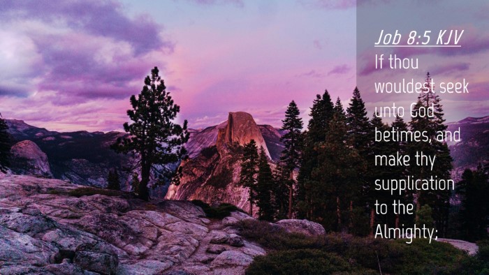 Picture 04 - Job 8:5 KJV Desktop Wallpaper - If thou wouldest seek unto God betimes, and make - Desktop Bible Verse Wallpaper
