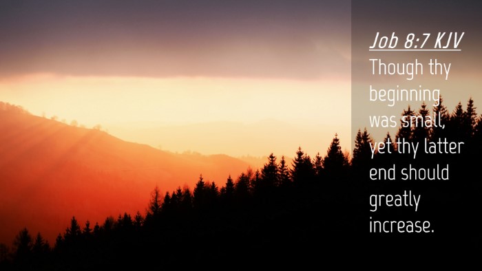 Picture 04 - Job 8:7 KJV Desktop Wallpaper - Though thy beginning was small, yet thy latter - Desktop Bible Verse Wallpaper