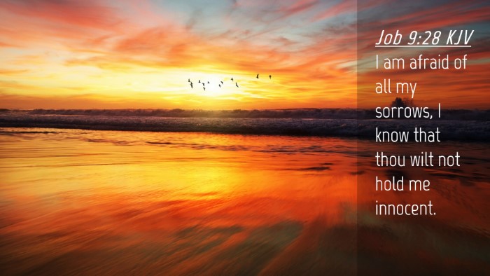 Picture 04 - Job 9:28 KJV Desktop Wallpaper - I am afraid of all my sorrows, I know that thou - Desktop Bible Verse Wallpaper