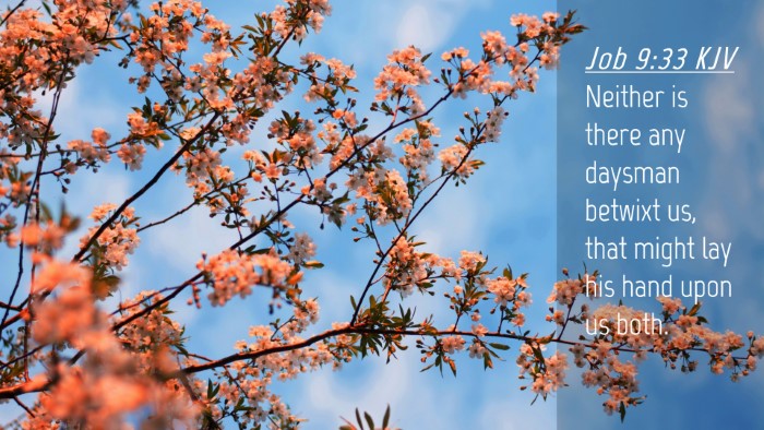 Picture 04 - Job 9:33 KJV Desktop Wallpaper - Neither is there any daysman betwixt us, that - Desktop Bible Verse Wallpaper