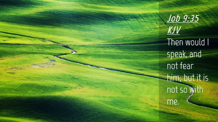 Picture 04 - Job 9:35 KJV Desktop Wallpaper - Then would I speak, and not fear him; but it is - Desktop Bible Verse Wallpaper