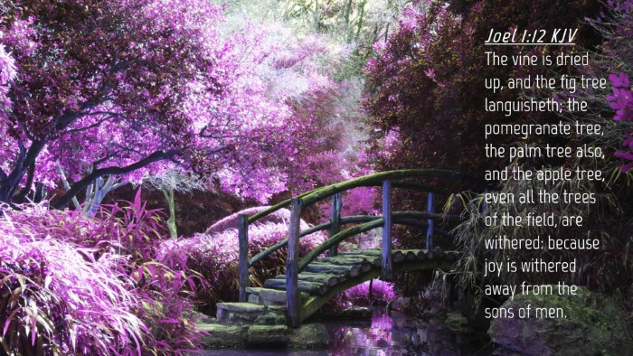 Picture 04 - Joel 1:12 KJV Desktop Wallpaper - The vine is dried up, and the fig tree - Desktop Bible Verse Wallpaper