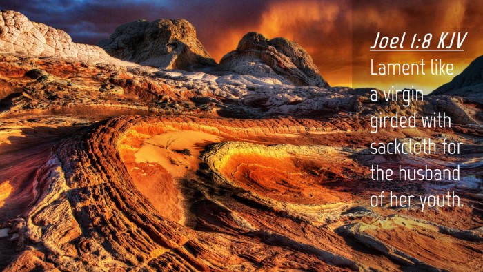 Picture 04 - Joel 1:8 KJV Desktop Wallpaper - Lament like a virgin girded with sackcloth for - Desktop Bible Verse Wallpaper