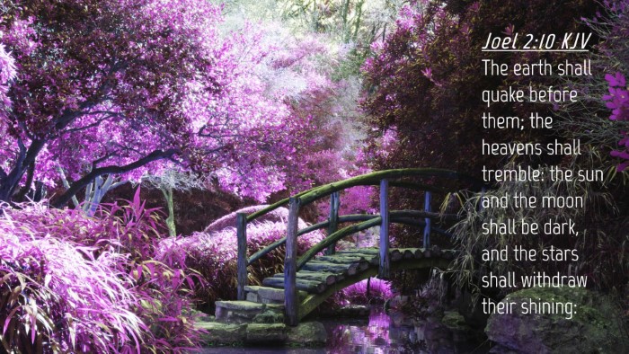 Picture 04 - Joel 2:10 KJV Desktop Wallpaper - The earth shall quake before them; the heavens - Desktop Bible Verse Wallpaper