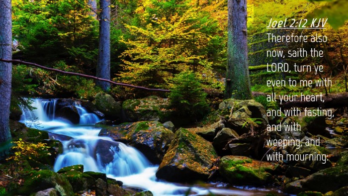Picture 04 - Joel 2:12 KJV Desktop Wallpaper - Therefore also now, saith the LORD, turn ye even - Desktop Bible Verse Wallpaper