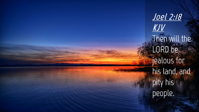 Picture 04 - Joel 2:18 KJV Desktop Wallpaper - Then will the LORD be jealous for his land, and - Desktop Bible Verse Wallpaper