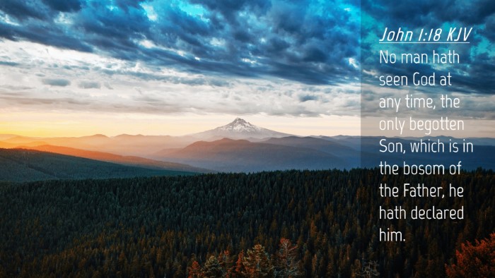 Picture 04 - John 1:18 KJV Desktop Wallpaper - No man hath seen God at any time, the only - Desktop Bible Verse Wallpaper