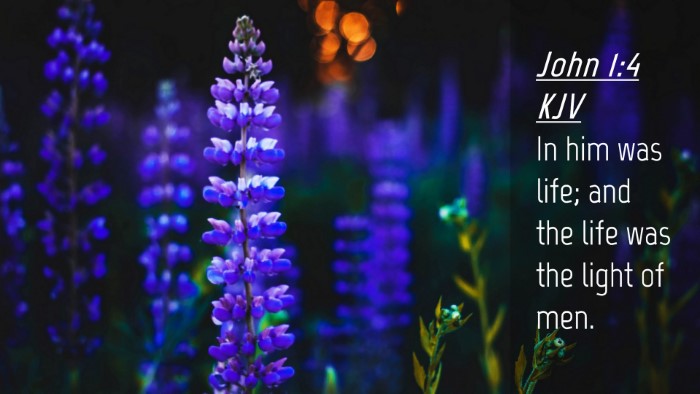 Picture 04 - John 1:4 KJV Desktop Wallpaper - In him was life; and the life was the light of - Desktop Bible Verse Wallpaper