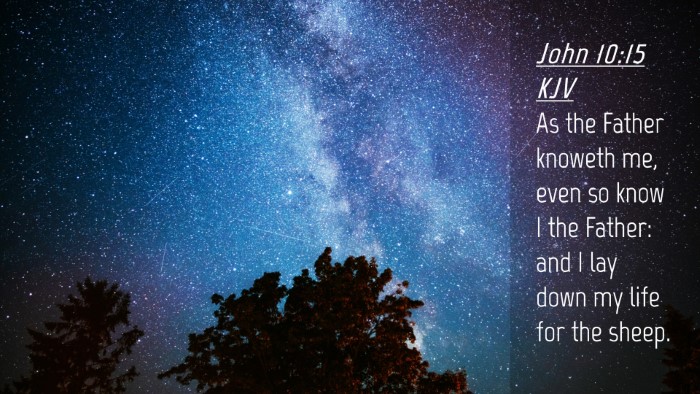 Picture 04 - John 10:15 KJV Desktop Wallpaper - As the Father knoweth me, even so know I the - Desktop Bible Verse Wallpaper