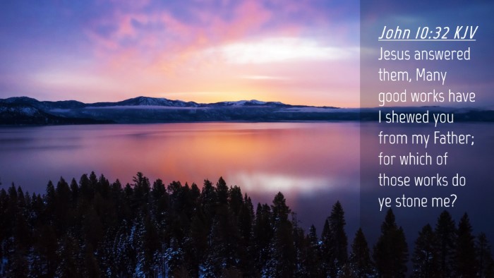Picture 04 - John 10:32 KJV Desktop Wallpaper - Jesus answered them, Many good works have I - Desktop Bible Verse Wallpaper