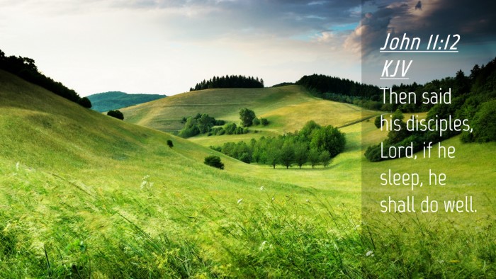 Picture 04 - John 11:12 KJV Desktop Wallpaper - Then said his disciples, Lord, if he sleep, he - Desktop Bible Verse Wallpaper