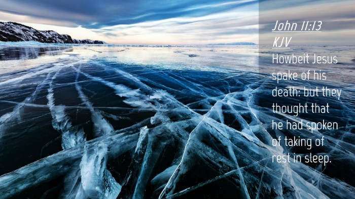 Picture 04 - John 11:13 KJV Desktop Wallpaper - Howbeit Jesus spake of his death: but they - Desktop Bible Verse Wallpaper