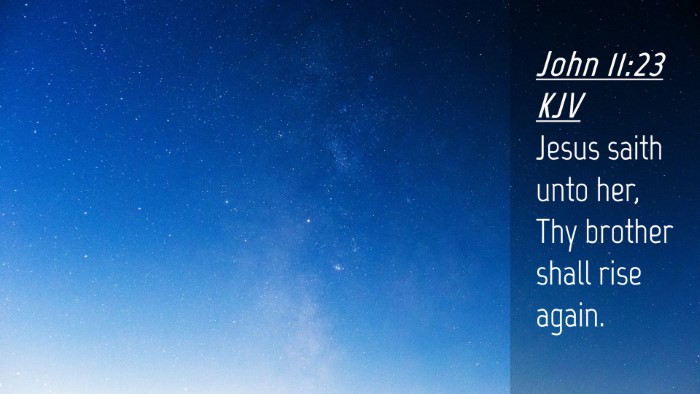 Picture 04 - John 11:23 KJV Desktop Wallpaper - Jesus saith unto her, Thy brother shall rise - Desktop Bible Verse Wallpaper
