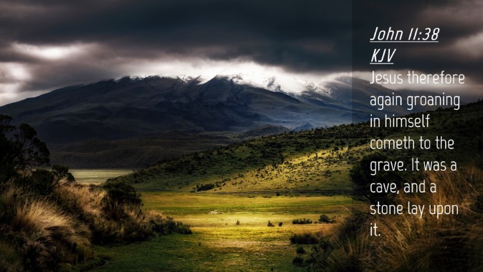 Picture 04 - John 11:38 KJV Desktop Wallpaper - Jesus therefore again groaning in himself cometh - Desktop Bible Verse Wallpaper