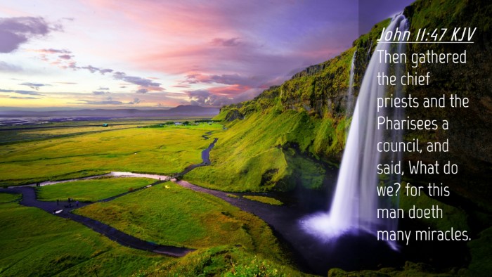 Picture 04 - John 11:47 KJV Desktop Wallpaper - Then gathered the chief priests and the Pharisees - Desktop Bible Verse Wallpaper