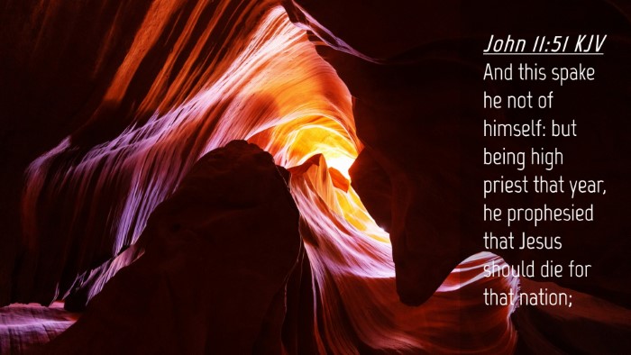 Picture 04 - John 11:51 KJV Desktop Wallpaper - And this spake he not of himself: but being high - Desktop Bible Verse Wallpaper