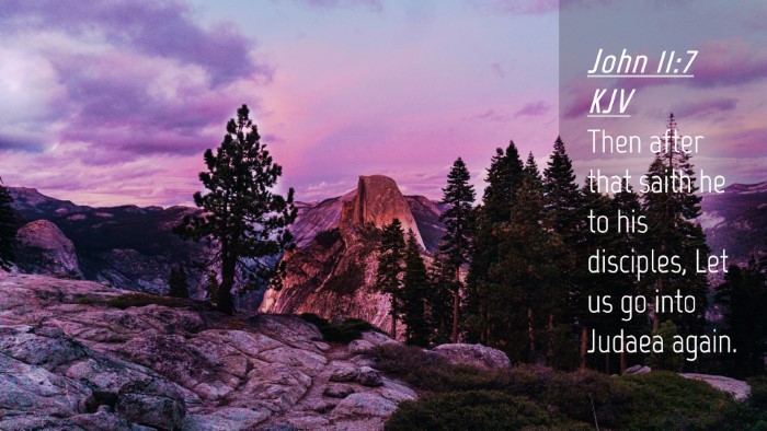 Picture 04 - John 11:7 KJV Desktop Wallpaper - Then after that saith he to his disciples, Let us - Desktop Bible Verse Wallpaper
