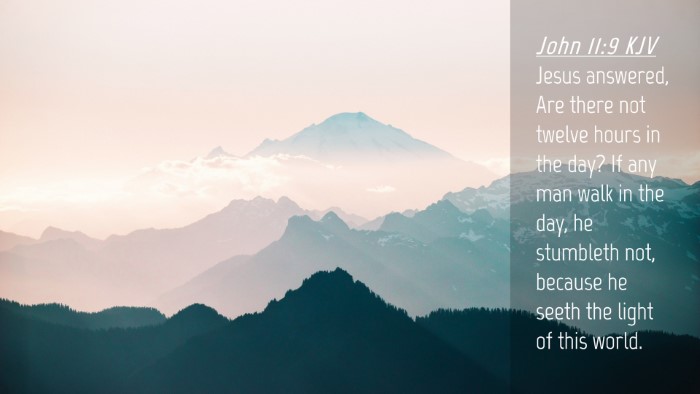 Picture 04 - John 11:9 KJV Desktop Wallpaper - Jesus answered, Are there not twelve hours in the - Desktop Bible Verse Wallpaper