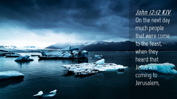 Picture 04 - John 12:12 KJV Desktop Wallpaper - On the next day much people that were come to the - Desktop Bible Verse Wallpaper