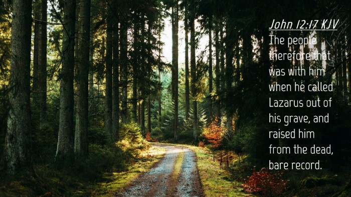 Picture 04 - John 12:17 KJV Desktop Wallpaper - The people therefore that was with him when he - Desktop Bible Verse Wallpaper