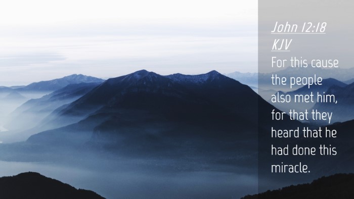 Picture 04 - John 12:18 KJV Desktop Wallpaper - For this cause the people also met him, for that - Desktop Bible Verse Wallpaper
