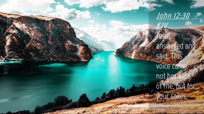 Picture 04 - John 12:30 KJV Desktop Wallpaper - Jesus answered and said, This voice came not - Desktop Bible Verse Wallpaper