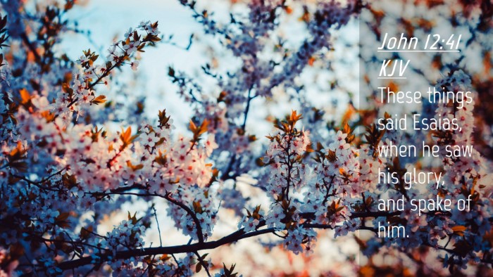 Picture 04 - John 12:41 KJV Desktop Wallpaper - These things said Esaias, when he saw his glory, - Desktop Bible Verse Wallpaper