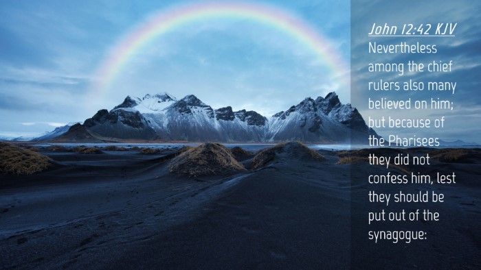 Picture 04 - John 12:42 KJV Desktop Wallpaper - Nevertheless among the chief rulers also many - Desktop Bible Verse Wallpaper