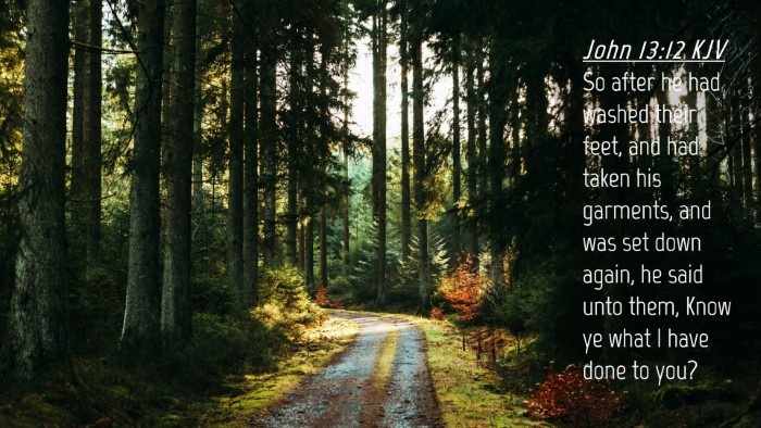 Picture 04 - John 13:12 KJV Desktop Wallpaper - So after he had washed their feet, and had taken - Desktop Bible Verse Wallpaper