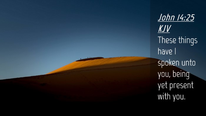 Picture 04 - John 14:25 KJV Desktop Wallpaper - These things have I spoken unto you, being yet - Desktop Bible Verse Wallpaper