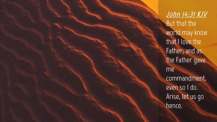 Picture 04 - John 14:31 KJV Desktop Wallpaper - But that the world may know that I love the - Desktop Bible Verse Wallpaper