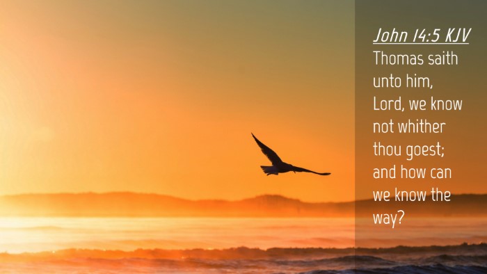 Picture 04 - John 14:5 KJV Desktop Wallpaper - Thomas saith unto him, Lord, we know not whither - Desktop Bible Verse Wallpaper
