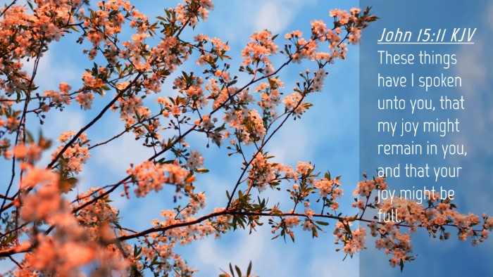 Picture 04 - John 15:11 KJV Desktop Wallpaper - These things have I spoken unto you, that my joy - Desktop Bible Verse Wallpaper