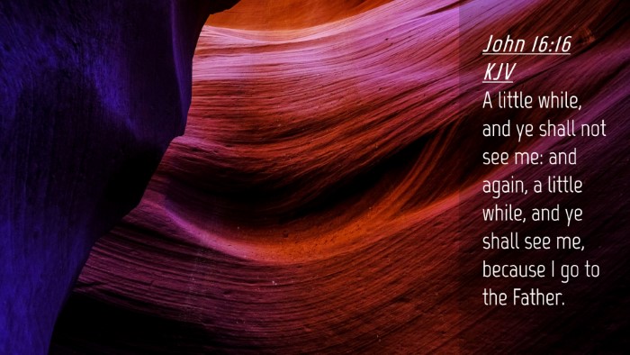 Picture 04 - John 16:16 KJV Desktop Wallpaper - A little while, and ye shall not see me: and - Desktop Bible Verse Wallpaper
